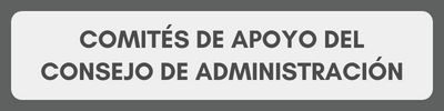 Comités de Apoyo del Consejo de Administración